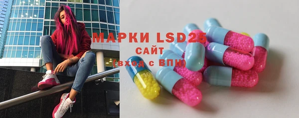 PSILOCYBIN Абаза