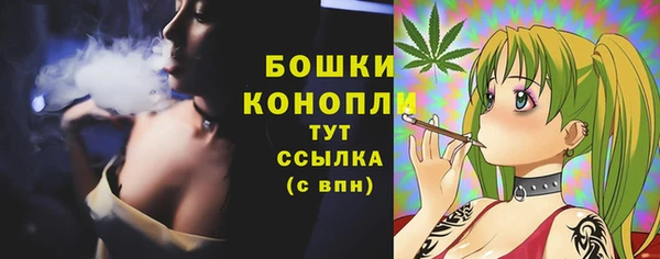PSILOCYBIN Абаза