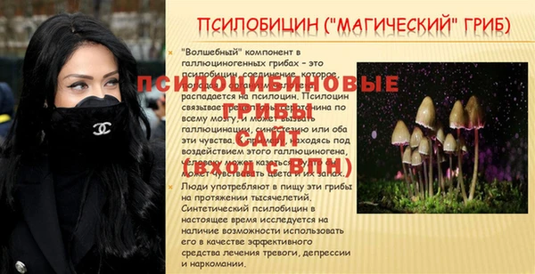 PSILOCYBIN Абаза
