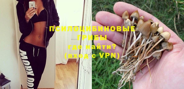 мяу мяу мука Алексин