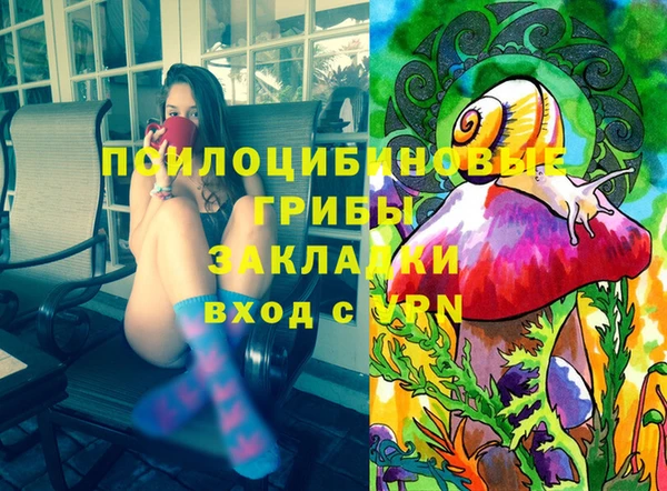 PSILOCYBIN Абаза